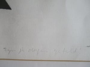 Geertjan van Oostende - Ingelijste ets "zijn je dagen geteld?" kopen? Bied vanaf 40!