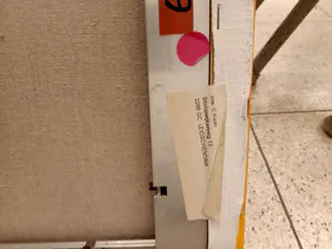 Carina Kaan - Mensen kopen? Bied vanaf 10!