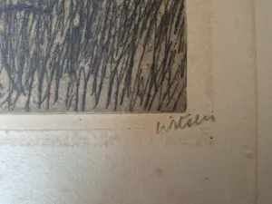 Willem Witsen - Ets E/A - vrouw bij appelboom, gesigneerd r.o. kopen? Bied vanaf 225!