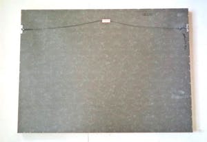 Mark Verdoes - Makreel - Ingelijst - IN PRIJS VERLAAGD kopen? Bied vanaf 49!