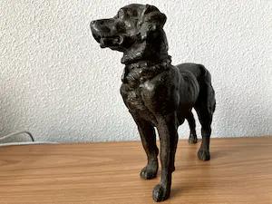 Brons (Onbekend) - Bronzen beeld van een hond . kopen? Bied vanaf 65!
