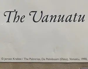 Jeroen Krabbé - Palmboom - Litho - 1990 kopen? Bied vanaf 50!