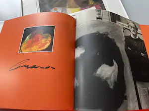 Eugène Brands - Het wandelende huis kopen? Bied vanaf 200!