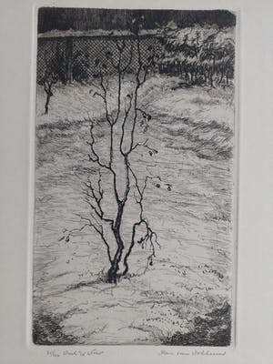 Hans van Dokkum - Winterlandschap kopen? Bied vanaf 15!