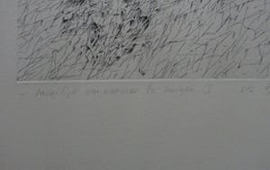 Kees Spermon - ets: moeilijk om voorover te buigen I - 1978 kopen? Bied vanaf 45!