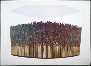 Doris Groeneveld - Lot van twee zeefdrukken, Heuvel en Bosperceel kopen? Bied vanaf 1!