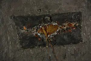 Mihajlo Petkovic - Gemengde technieken (Materiewerk), Zonder titel - Ingelijst kopen? Bied vanaf 60!