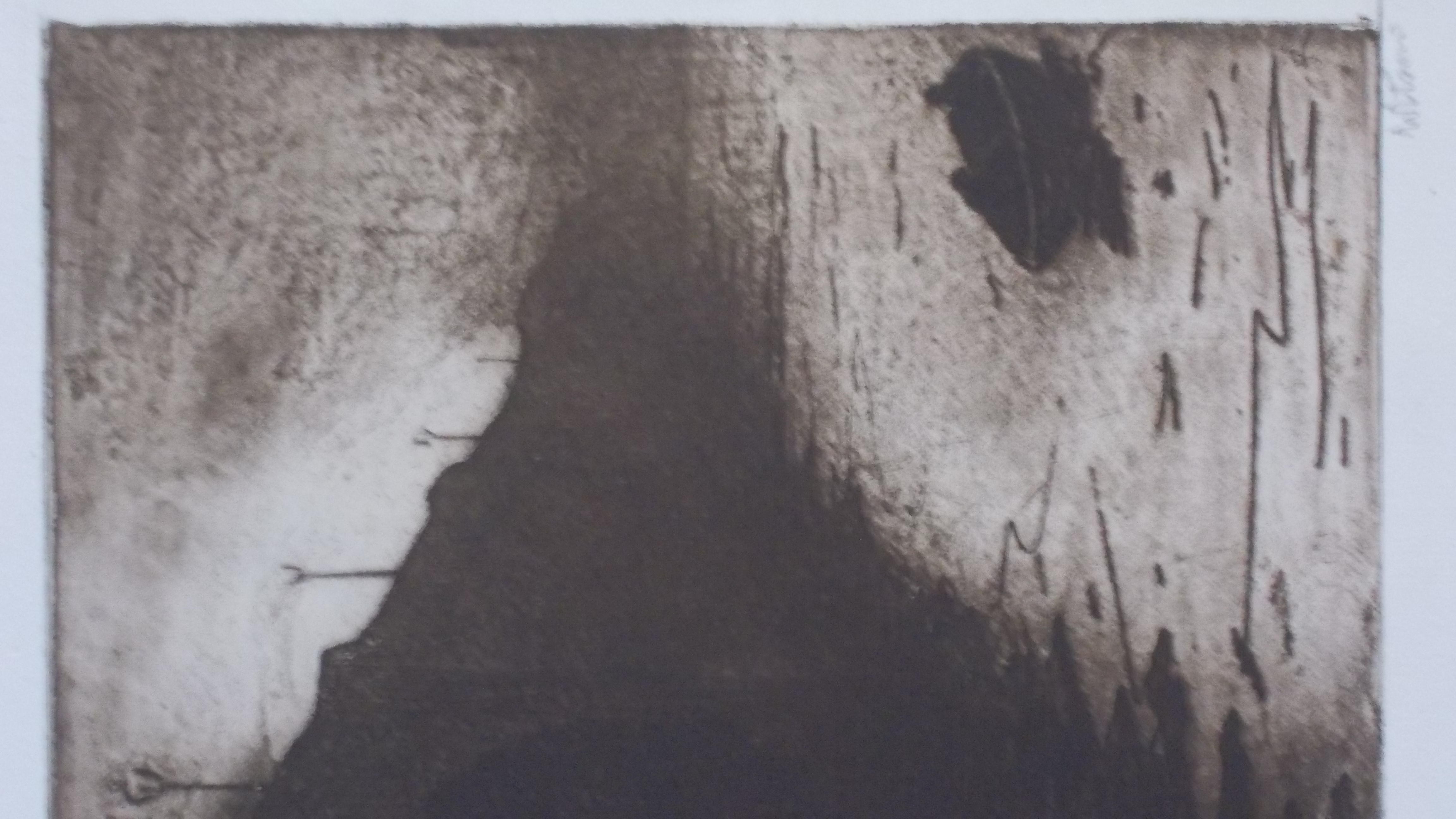 Willem Witsen - Waterloo Bridge in de mist, Londen kopen? Bied vanaf 375!