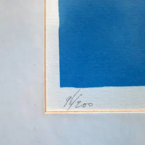 Ton van Kesteren - zeefdruk - abstracte compositie - ontspiegeld ingelijst - 22364 kopen? Bied vanaf 55!