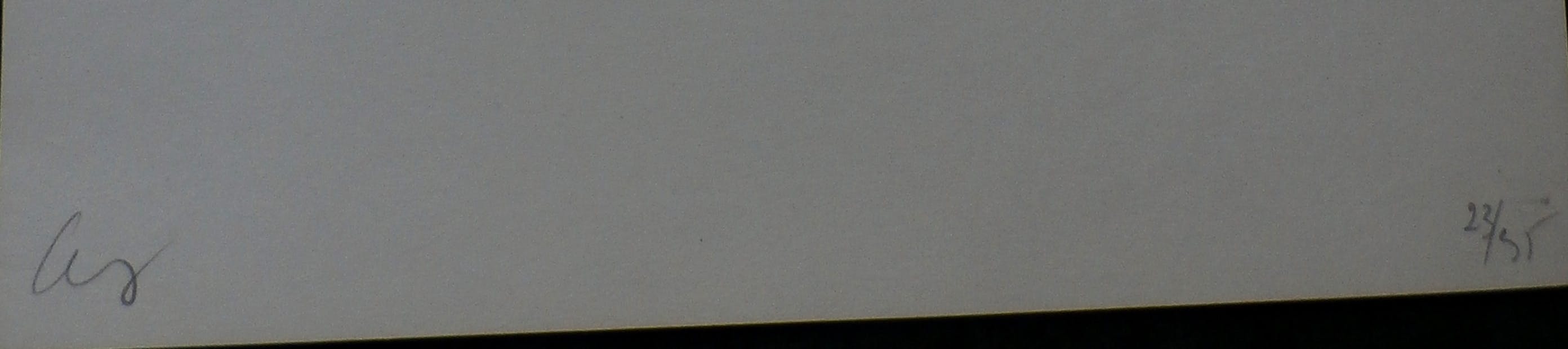 Willem Snitker - litho: Frans Halsmuseum - 1975 kopen? Bied vanaf 35!