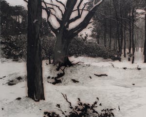 Willem Witsen - Ingelijste ets: Winter I kopen? Bied vanaf 495!