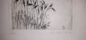 Enno Brokke - Paard met riet kopen? Bied vanaf 35!