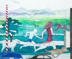 Sylvia Oudkerk - Kleurenets, Hard lopen kopen? Bied vanaf 1!