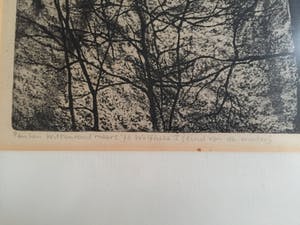 Paulien Wittenrood - Wolfheze I kopen? Bied vanaf 10!