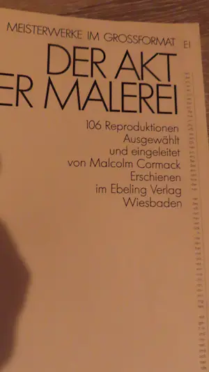 Diverse kunstenaars - Der Akt in der Malerei Meisterwerke in Gross formaat kopen? Bied vanaf 35!
