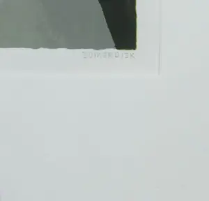 Yvonne Zomerdijk - 4031137 Zeefdruk, Kakelvers kopen? Bied vanaf 25!