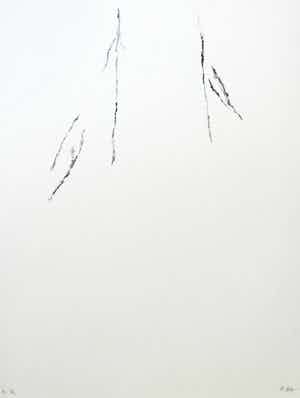 Armando - Der Baum verkocht voor € 1!