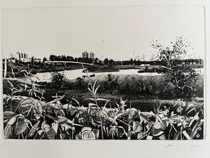 Jan Prins - Twee etsen uit 1992 kopen? Bied vanaf 40!