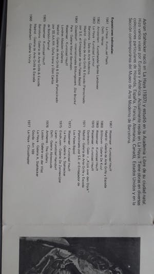 Adrian Stahlecker - kleurrijk olieverf groot formaat kopen? Bied vanaf 60!