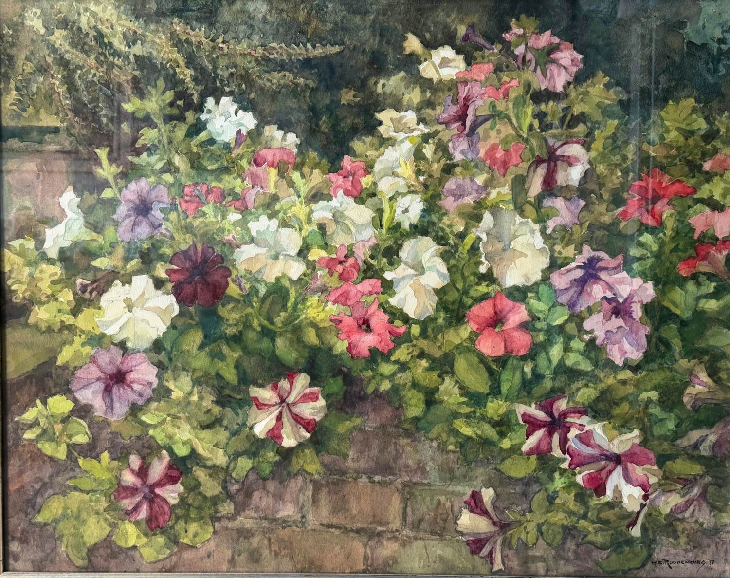 Hendrikus Roodenburg - Petunia's op tuinmuurtje te Wassenaar kopen? Bied vanaf 800!