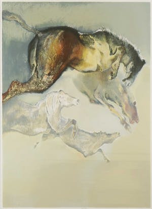 Edwin Salomon - Zeefdruk, Yellow Horses - Ingelijst kopen? Bied vanaf 20!