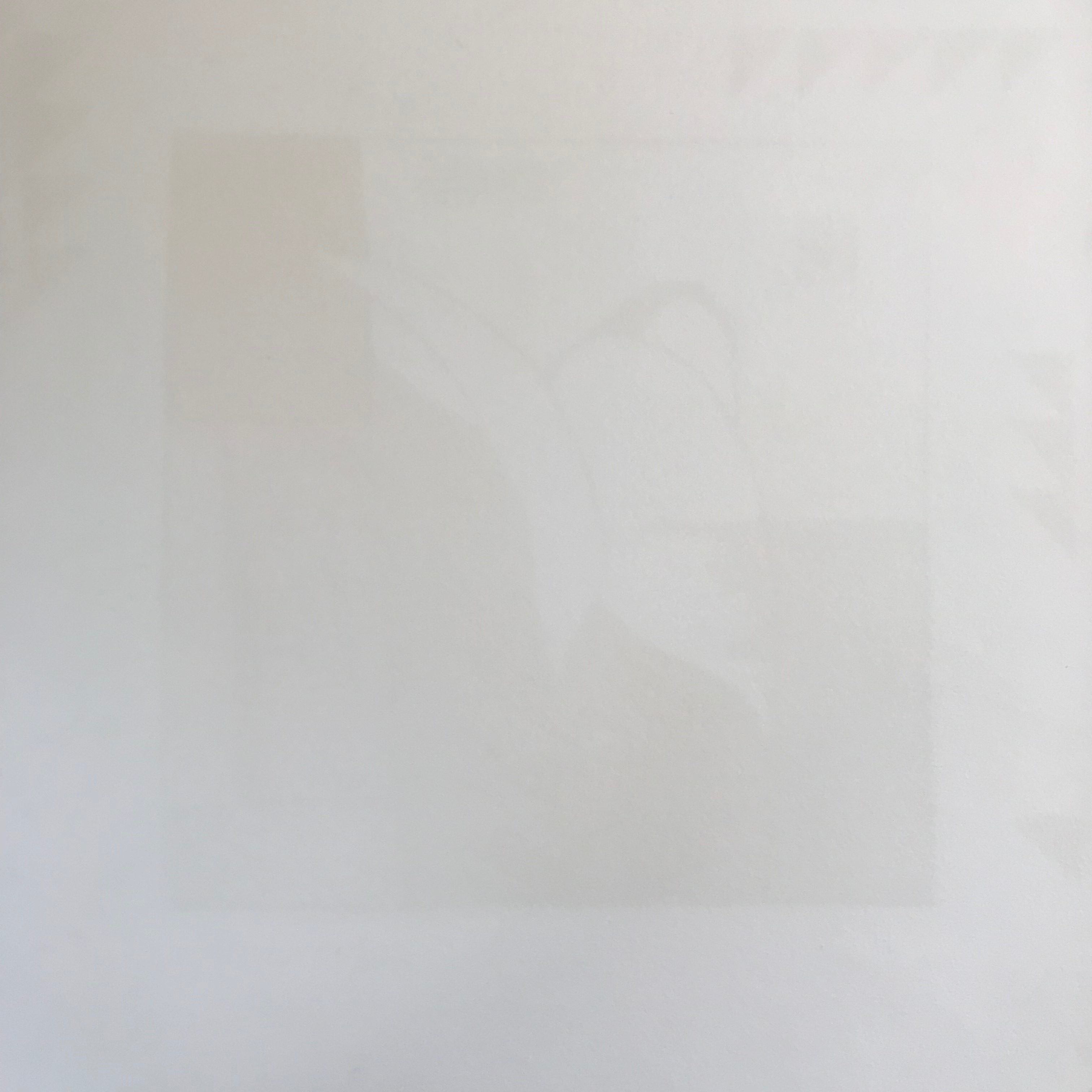 Joanet Gardy-Artigas - 'Ostie Blanche' - HC - Gesigneerde Lithografie kopen? Bied vanaf 45!