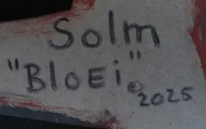 Eric van Solm - 'Bloei' kopen? Bied vanaf 350!