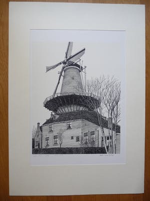 Sees Vlag - DELFT- MOLEN DE ROOS kopen? Bied vanaf 50!