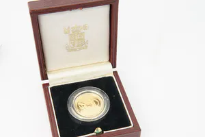 Massief 900/1000 gouden Suriname 500 gulden "Assembly" MUNT in originele doos kopen? Bied vanaf 350!