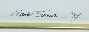 Ciano Siewert - Aquarel, Stadsgezicht vanaf het water - Ingelijst kopen? Bied vanaf 1!
