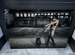 James Chiew - La panthere kopen? Bied vanaf 650!