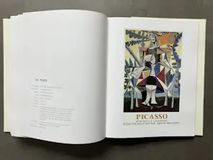 Pablo Picasso - Catalogue Raisonné - Picasso in his posters - 4 delen kopen? Bied vanaf 500!
