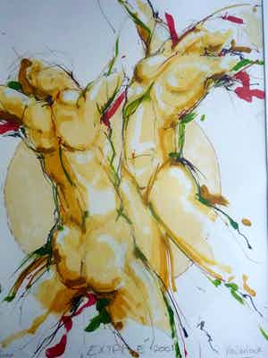 Kees Verkade - Extase verkocht voor € 34!