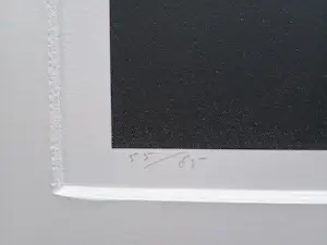 JCJ VANDERHEYDEN - Noorderlicht kopen? Bied vanaf 250!