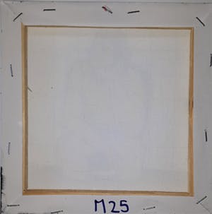 Anke Peddemors - kunst voor in het kleinste kamertje m25 kopen? Bied vanaf 15!