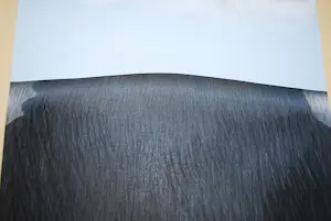 Kees Gerritse - Chère vache I, II, III - 3 potloodtekeningen - elk apart ingelijst kopen? Bied vanaf 395!