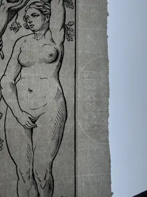 Albrecht Durer - Konvolut Bildnisse und Allegorien 2 Blätter mit 8 Motiven kopen? Bied vanaf 70!