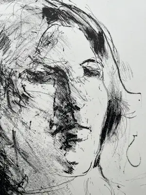 Jaap Hillenius - handgesigneerde litho | Uitgave 'De Luis' | 'XI 1970' kopen? Bied vanaf 50!