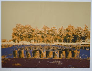 Cees Rijppaert - Plastic in the landscape IX # oplage 15, genummerd/gesigneerd kopen? Bied vanaf 15!