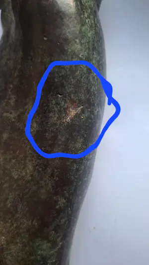 Rene Rikkelman - Vrouw kopen? Bied vanaf 250!