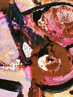 Jan te Wierik - Oranje Vogel , gesigneerd in druk kopen? Bied vanaf 1!