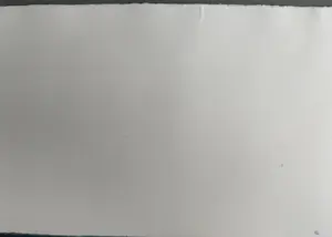 Ru van Rossem - Camargue - gesigneerde reliëf ets kopen? Bied vanaf 79!