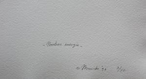 Jan van Munster - 6 pyrogravures in portfoliomap kopen? Bied vanaf 895!