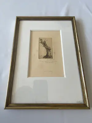 Dirk Baksteen - Rode Wilg kopen? Bied vanaf 40!