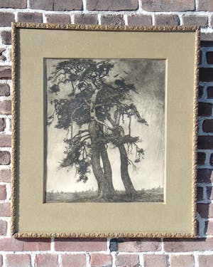 Frans Hogerwaard - Bomen kopen? Bied vanaf 100!