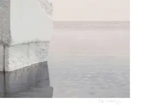 Mr Strange - Op en neer op de Noordpool kopen? Bied vanaf 85!