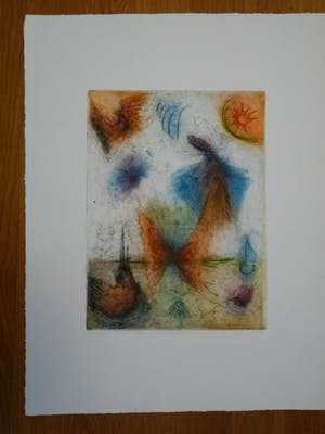 Sam Parabirsingh - POSE DU SOLEIL MET EUROSIENTJE/ POSE DU SOLEIL MET ZWAARDVIS kopen? Bied vanaf 75!