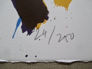 Jan Cremer - Litho perfecte staat kopen? Bied vanaf 85!