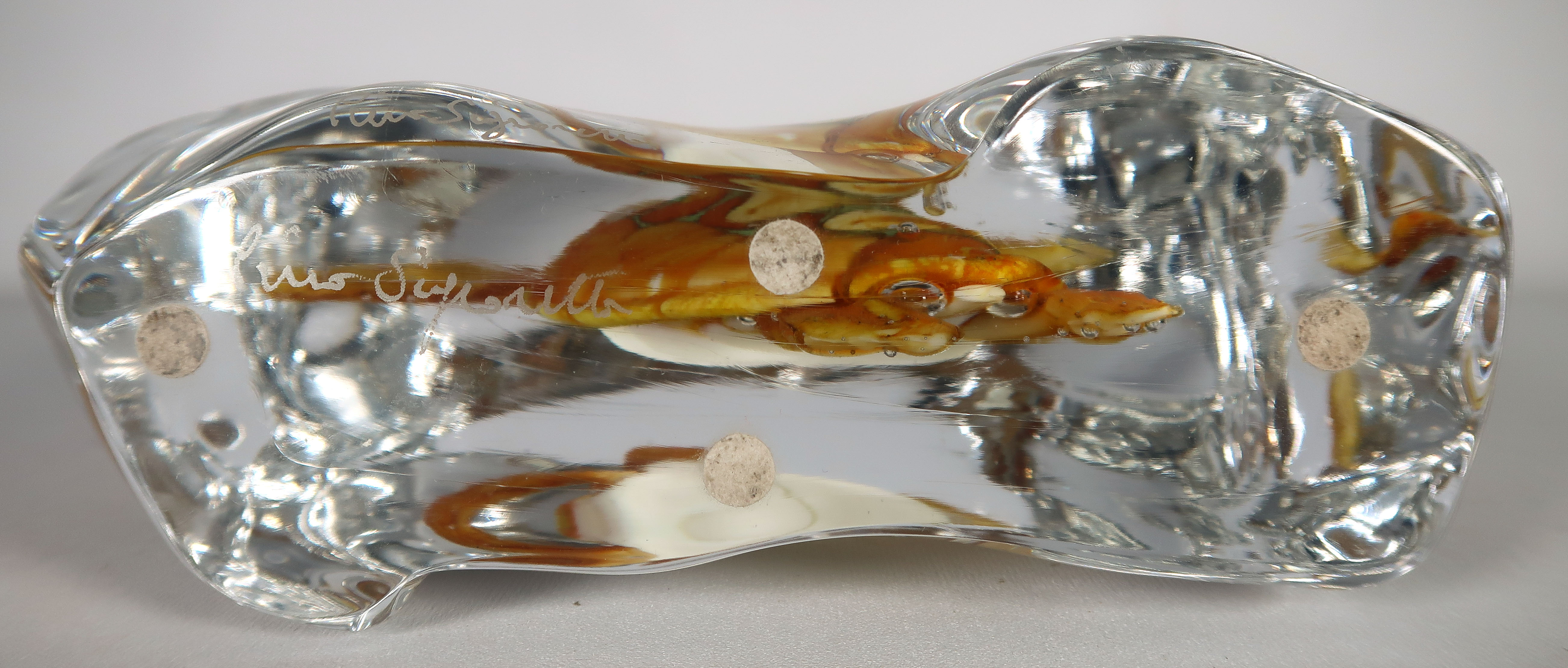 Pino Signoretto - Glas unica, Handgevormde schildpad omsloten door glas (Zwaar) kopen? Bied vanaf 1000!