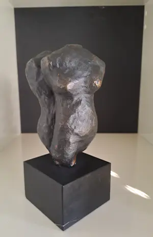 Susanne den Hoed - Torso man en vrouw kopen? Bied vanaf 120!